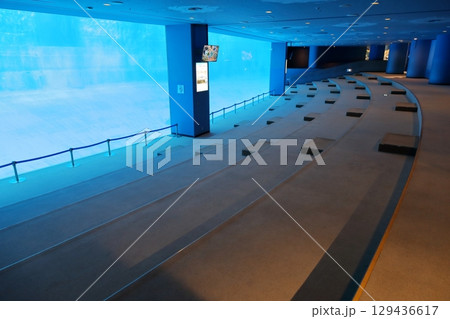 水中観覧席(名古屋港水族館 愛知県 名古屋市) 水中観覧席(名古屋港水族館 愛知県 名古屋市) 129436617