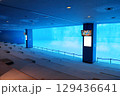 水中観覧席（名古屋港水族館　愛知県 名古屋市） 129436641
