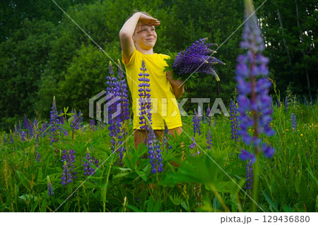 The image features a cheerful boy in yellow, standing among purple lupines, with a bright sky creating a lively and joyful scene. The image features a cheerful boy in yellow, standing among purple lupines, with a bright sky creating a lively and joyful scene. 129436880