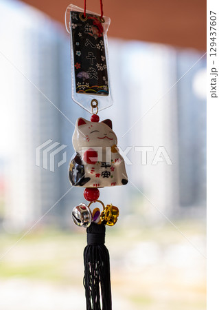 A fluffy white cat playfully hanging from a string with writing A fluffy white cat playfully hanging from a string with writing 129437607