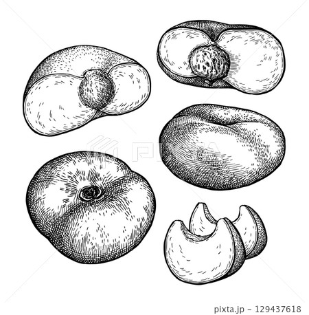 Donut peach ink sketch set 129437618