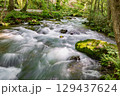 夏の奥入瀬 129437624