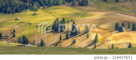 Alpe di Siusi Seiser Alm panoramic banner 129437651