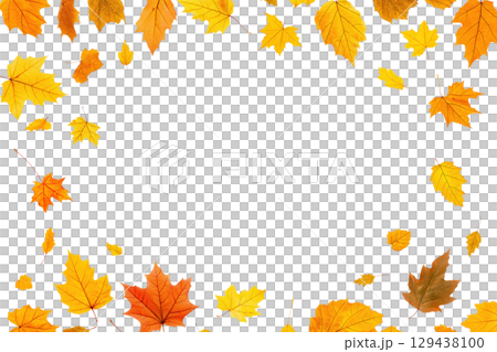 Frame of autumn maple leaves isolated 129438100