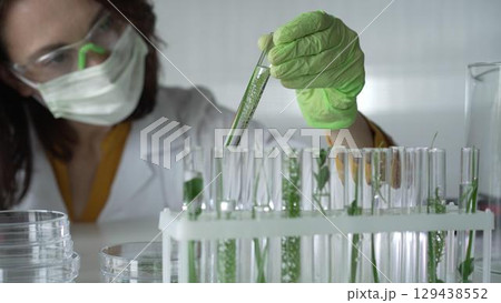 Woman scientist with dark hair wearing a lab coat, green gloves and mask holding a test tube with plants inside, close up. Science and medicine concepts 129438552