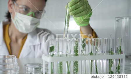 Woman scientist wearing a lab coat, green gloves and mask holding a test tube with plants inside, close up. Science and medicine concepts Woman scientist wearing a lab coat, green gloves and mask holding a test tube with plants inside, close up. Science and medicine concepts 129438553