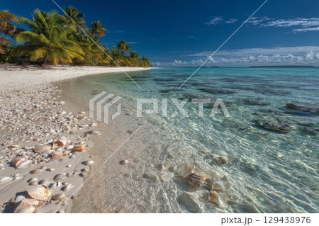 Tropical paradise exploration pristine beach nature photography serene environment coastal view tranquil experience 129438976