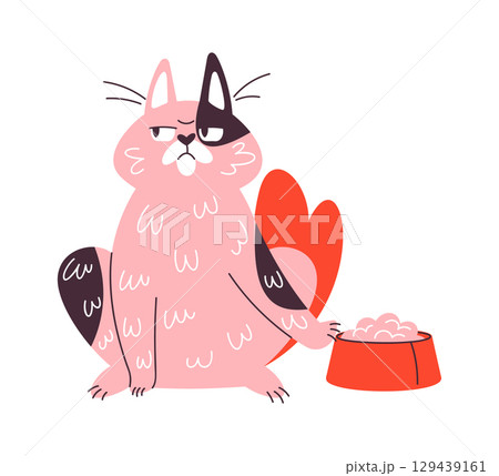 Lazy cat refuses to eat Lazy cat refuses to eat 129439161