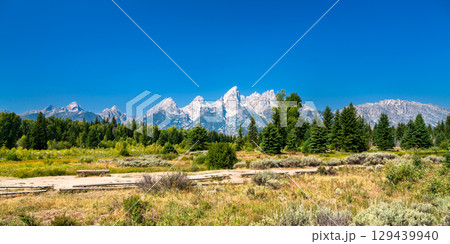 Scenic Panorama of Grand Teton National Park in Wyoming, United States with a trail and a log bench 129439940