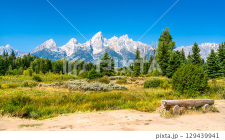 Scenic Panorama of Grand Teton National Park in Wyoming, United States with a trail and a log bench Scenic Panorama of Grand Teton National Park in Wyoming, United States with a trail and a log bench 129439941