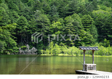 上高地 明神一之池 上高地 明神一之池 129440233