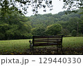 静かな雨の公園と木製ベンチ 129440330
