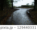 雨に濡れたカーブした遊歩道 129440331