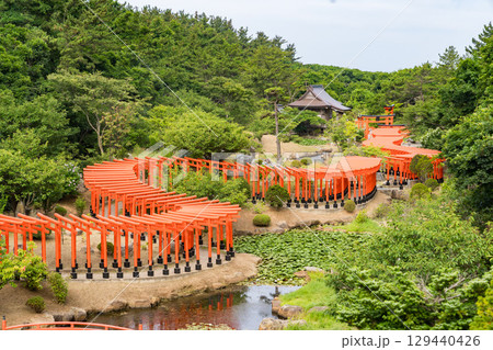 青森県つがる市の高山稲荷神社千本鳥居 青森県つがる市の高山稲荷神社千本鳥居 129440426