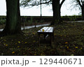 雨に濡れた木陰のベンチと落ち葉 129440671