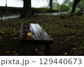 雨粒が光る木製ベンチと落ち葉 129440673