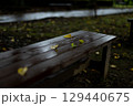 雨上がりのベンチと散った黄色い葉 129440675