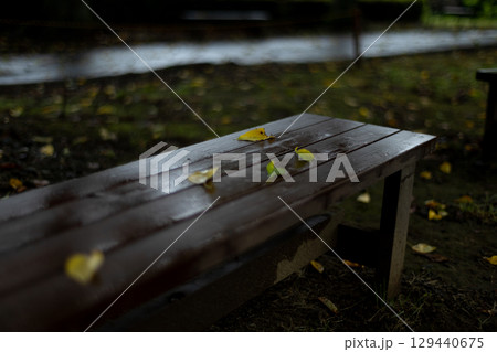 雨上がりのベンチと散った黄色い葉 129440675