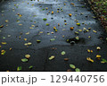 雨で濡れた公園の道に散る落ち葉 129440756