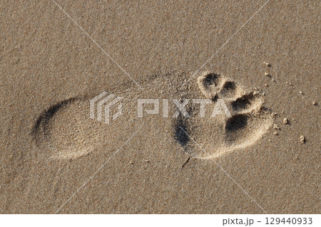 Human footprint on sandy beach 129440933