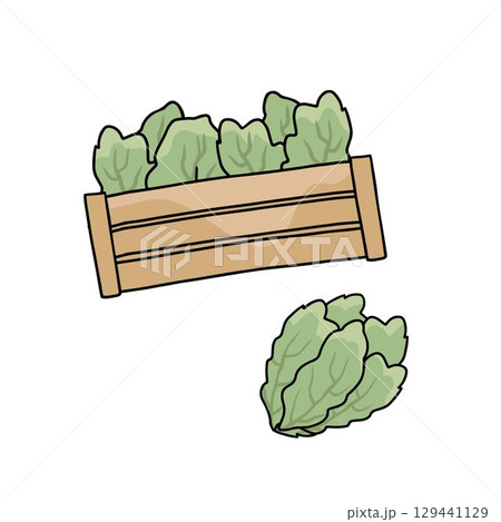 crate with green salad on white background crate with green salad on white background 129441129