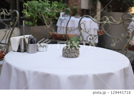 Elegant outdoor dining setup with greenery and decor Elegant outdoor dining setup with greenery and decor 129441718