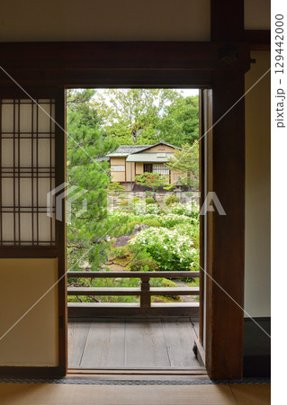 両足院の本堂から庭園を望む 両足院の本堂から庭園を望む 129442000