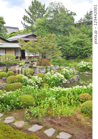 両足院の庭園 129442001