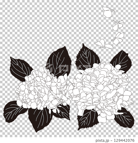 單色繡球花向量圖 129442076