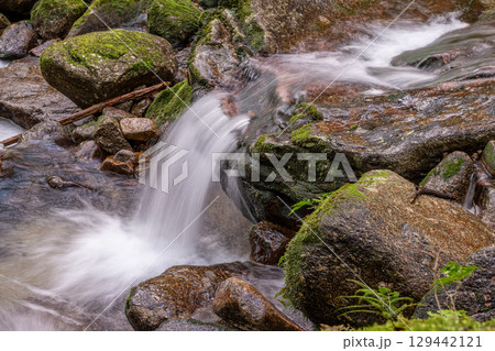 屋久島国立公園 豪快に流れる神が宿る谷(冬 屋久島国立公園 豪快に流れる神が宿る谷(冬 129442121
