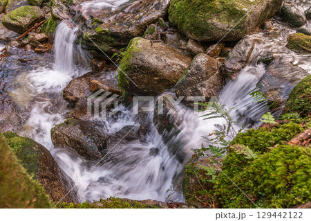 屋久島国立公園　豪快に流れる神が宿る谷(冬 129442122