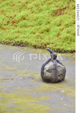 両足院の関守石 129442184