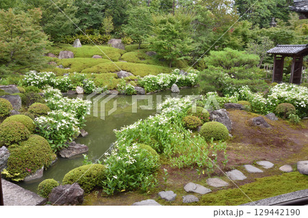 両足院の庭園 両足院の庭園 129442190