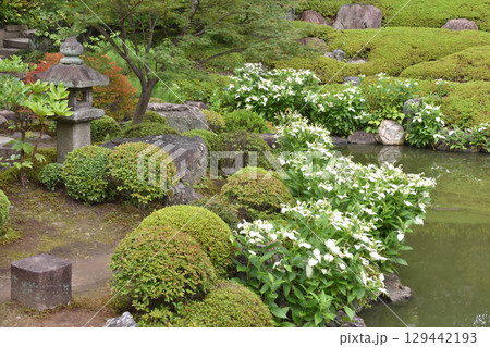 両足院の庭園 両足院の庭園 129442193