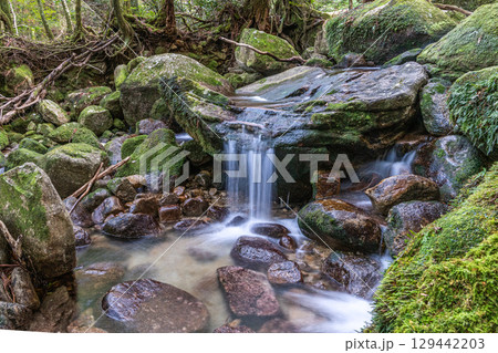 屋久島国立公園　豪快に流れる神が宿る谷(冬 129442203