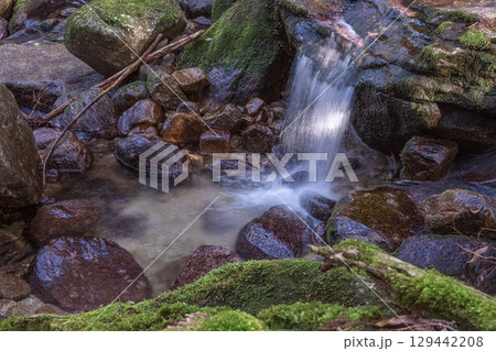 屋久島国立公園　木漏れ日と神が宿る谷(冬 129442208