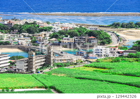 高台から沖縄の景色 129442326