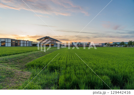 夕方のスイデンテラス 129442416