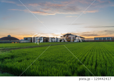 夕方のスイデンテラス 129442417