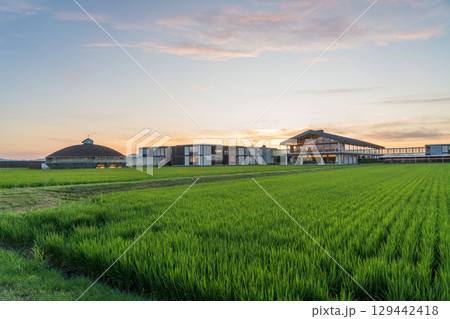 夕方のスイデンテラス 129442418