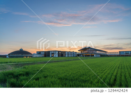夕方のスイデンテラス 夕方のスイデンテラス 129442424