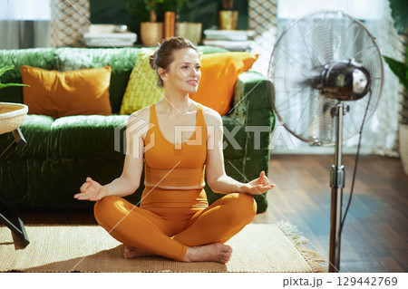 Mindful Meditation with a Cooling Fan 129442769