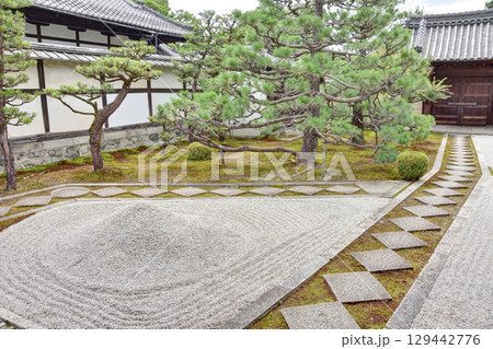 両足院の庭 両足院の庭 129442776