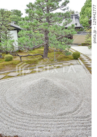 両足院の庭 両足院の庭 129442777