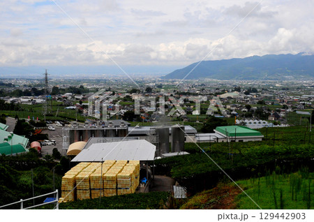 フルーツラインから見下ろす甲府盆地の市街 129442903