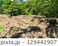 The remains of ancient Mayan structures surrounded by lush jungle at the Copan archaeological site, a UNESCO World Heritage site in Honduras 129442907