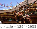 早春の湯島天満宮　拝殿と梅の木 129442933