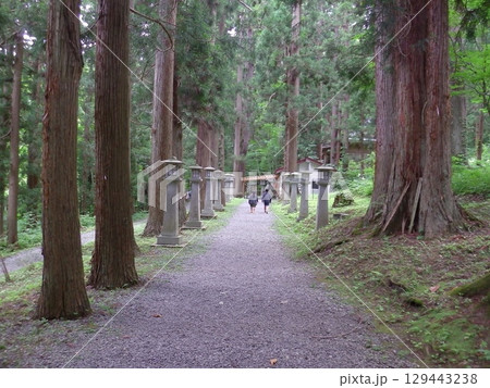 林の中の神社 129443238
