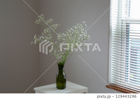 白い部屋に置かれたカスミソウ 129443296