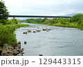 和歌山県紀ノ川の穏やかな流れと遠くに見える橋 129443315